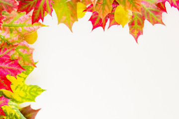 Colourful autumn fall leaves frame on white background.