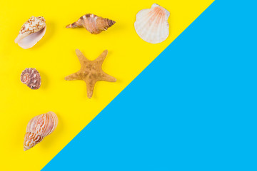 Seashells and starfish on blue and yellow background. Vacation, travel, summer concept