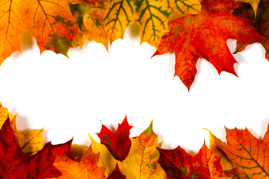 Red, Yellow and Orange Autumn Leaves Frame on White Background