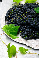 Red wine grapes in silver tray on grey background. Close up.