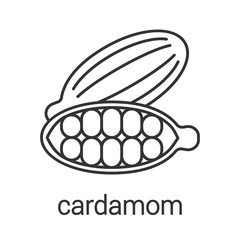 Cardamom linear icon