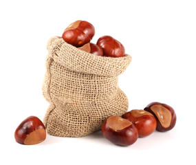 chestnut in a bag isolated on white background closeup