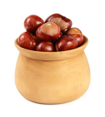 chestnut in a wooden bowl isolated on white background closeup