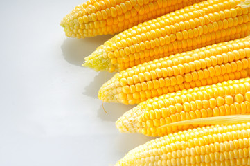 Mature corn on a white background