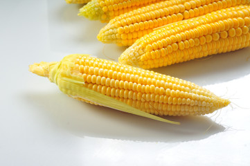 Mature corn on a white background