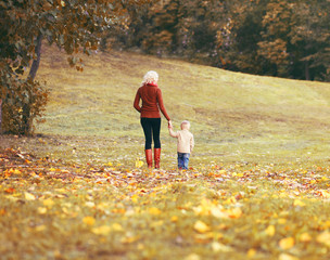 Fototapeta premium Mother and child walking together in an autumn park, yellow leaves