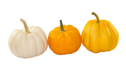 Miil yellow and white three pumpkin on white background
