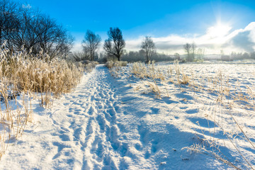 Magical winter landscape with snow in countryside, sun and blue sky, white christmas concept