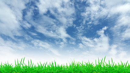 Fototapeta na wymiar Green Grass and Blue Sky