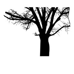 Tree_without_leaves_silhouette