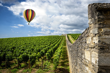  Burgundy vineyards with hot air balloon, France