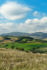Landscape on a day of september, cultivated fields and blue sky with clouds