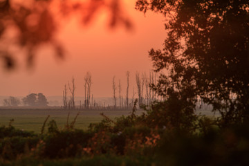 Sonnenaufgang 3