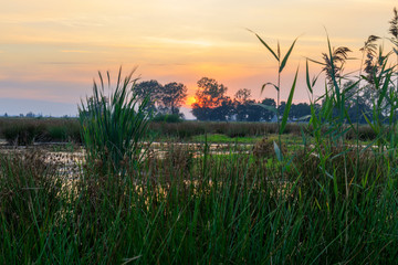 Teich 2