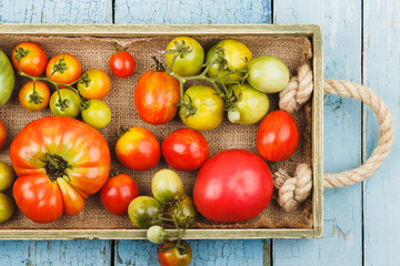 Set of different sorts of ripe tomatoes in the wooden tray