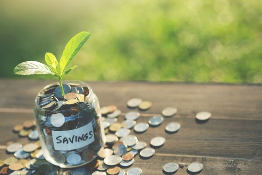 Saving money concept preset money coin for a growing future.
