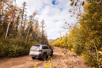 Obraz na płótnie Canvas SUV on a forest road