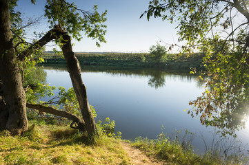 A tree broken in the storm, and a river that evaporates in the hot summer sun. Untouched nature in Russia