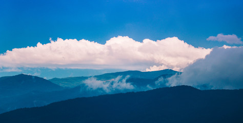 Photo depicting beautiful a foggy mystic mountains. Fog clouds at the pine tree mystical woods, morning. Europe, mysterious alps landscape.