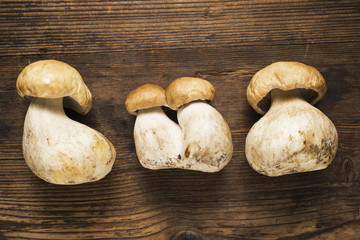 funghi porcini su legno