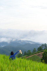 Fototapeta na wymiar Happy woman enjoy view of rice field and landscape of mountain area in Chiangmai northern Thailand