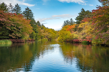 Starting of Autumn season in Japan, leaf is turing into red color