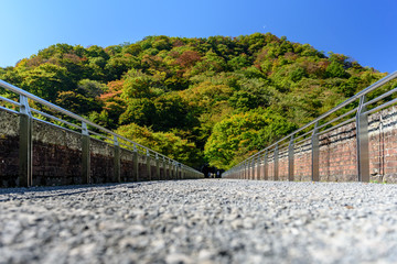 Starting of Autumn season in Japan, leaf is turing into red color