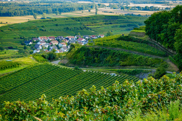 Fototapeta na wymiar Vineyards at Ihringen, Germany