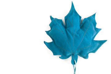 Naklejka premium Leaf isolated on white background with copy space for your design 