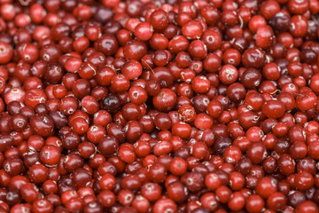 Fresh ripe red cranberries closeup. Culinary background. Selective focus