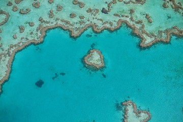 Fototapeta na wymiar Heart reef Australia