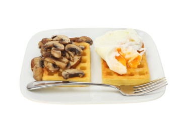 Poached egg waffles and mushrooms
