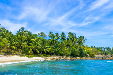 Fototapeta na wymiar Tropical beach in Sri Lanka,