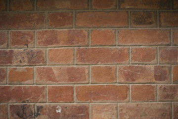 Beautiful brick wall