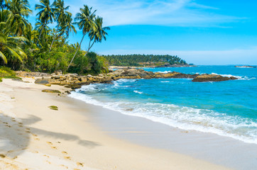 Tropical beach in Sri Lanka - obrazy, fototapety, plakaty