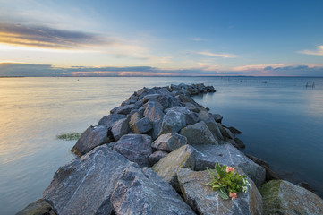 a bunch of flowers lying on the breakwater