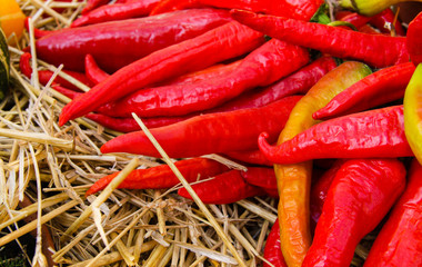 Colorful chili peppers at a country fair