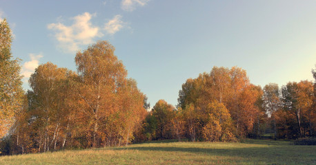 Obraz premium Beautiful autumn landscape