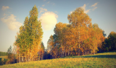 Fototapeta premium Beautiful autumn landscape