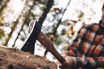 Woodcutter in plaid shirt chopping tree in forest. Wood chips fly apart