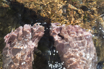 View of the feet in water at sea beach
