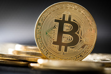 Bitcoin gold coin. Cryptocurrency concept.