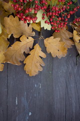 Naklejka na ściany i meble Autumn background with colorful leaves on rustic wooden board. Thanksgiving and Halloween holidays concept. Harvest rural fall season. Space for your text