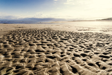 Nordsee, Strand auf Langenoog: Dünen, Meer, Ebbe, Watt, Wanderung, Entspannung, Ruhe, Erholung,...