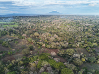 Obraz premium Rainforest in Nicaragua view from drone