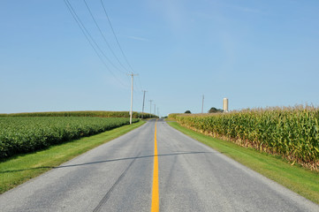 Fototapeta na wymiar Amish Country Road