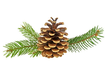 Christmas decoration - pine cone and branches