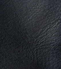 Real animal skin background