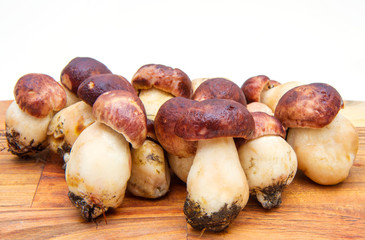 group of porcini mushrooms on wooden chopping board
