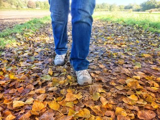 Spaziergang durch eine herbstliche Landschaft